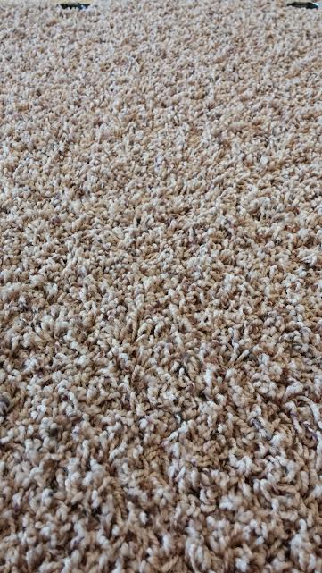 Mohawk Smartstrand Carpet Nature's Gift - Wild Oats