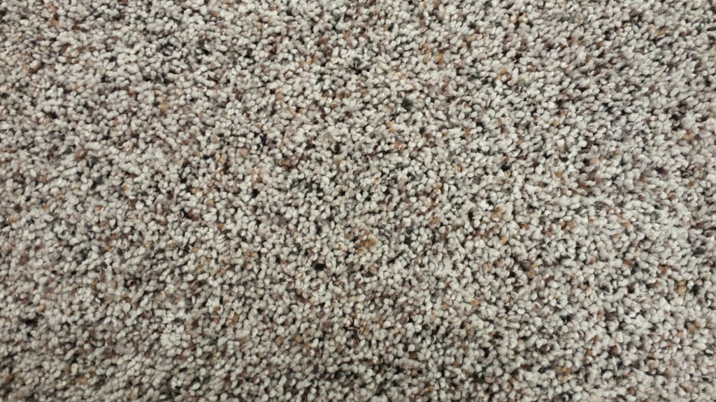 Mohawk PET Carpet - Simply Divine - Wooded Grey