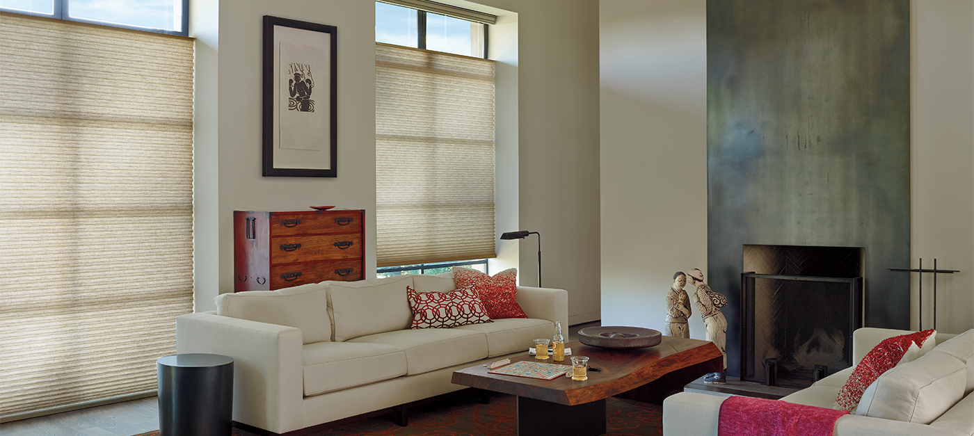 Hunter Douglas Alustra Duette Architella in Leela Escape