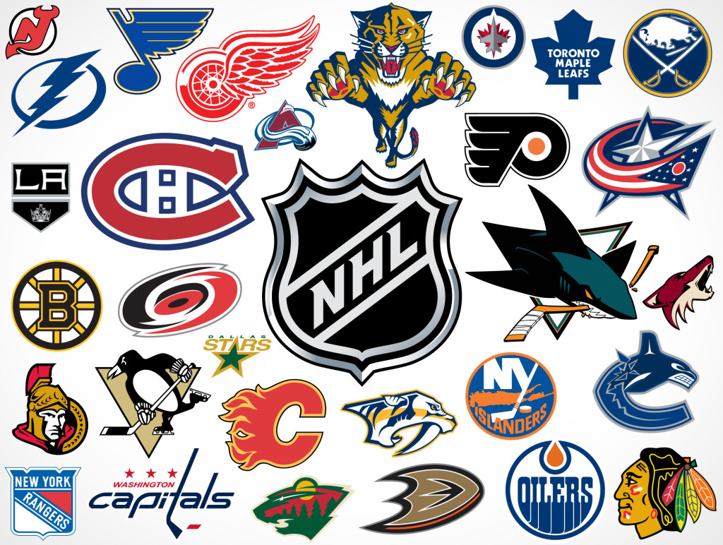 NHL Team Logos | Custom Home Interiors