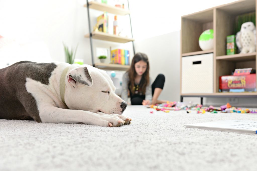Hello Splendid - Kayla's Room Makeover