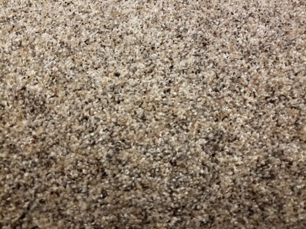 Mohawk Carpet's High Point in color Rocky Road - 54 oz Ultra Plush PET