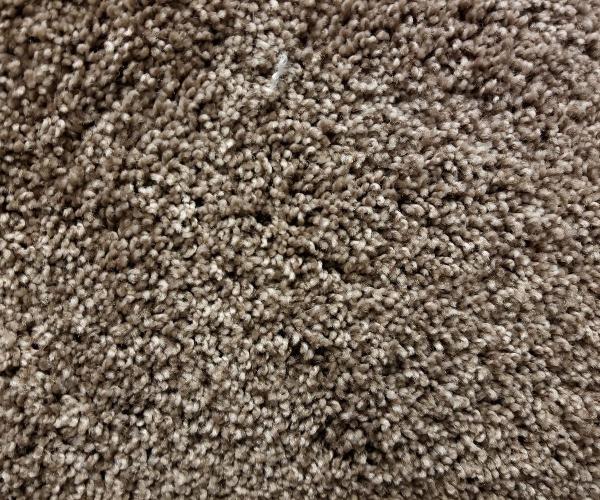 Mohawk Carpet - Exquisite Class in Golden Brown Cocoa - 52 oz Smartstrand Ultra Forever Clean - 12' Wide - In Stock Clearance