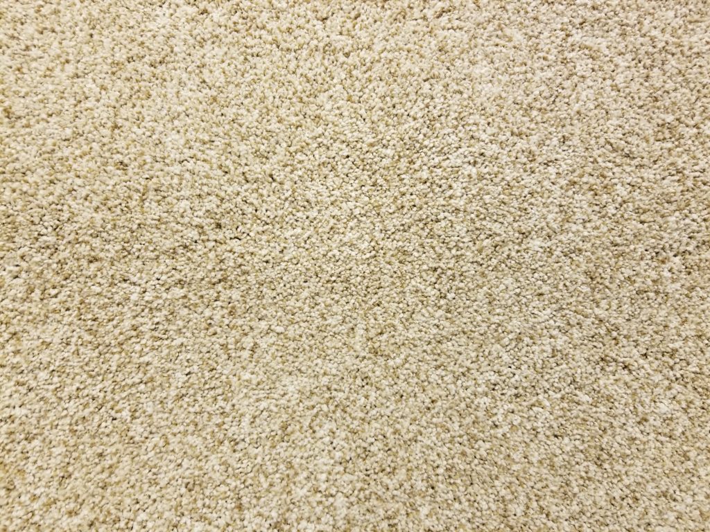 Mohawk Karastan Carpet - Churchill - Summer Straw (Sierra Sands) - 12' Wide - In Stock Clearance