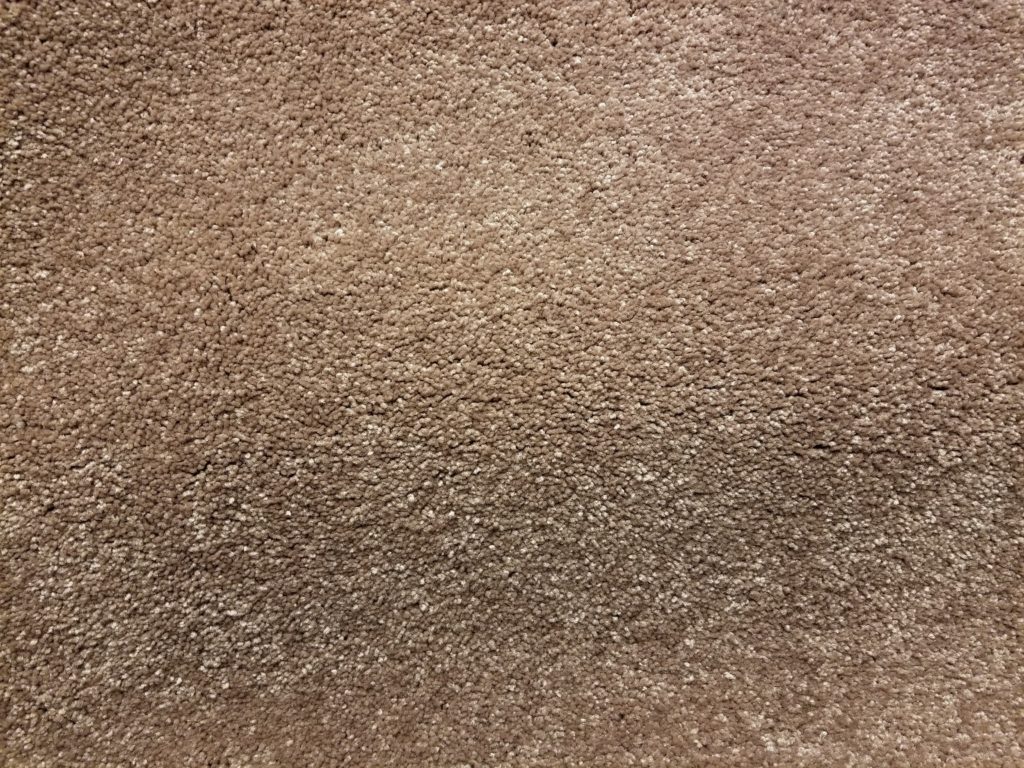 Mohawk Carpet - Serene Sierra in color Cedar Shingles - 60oz Everstrand PET - 12' Wide - In Stock Clearance