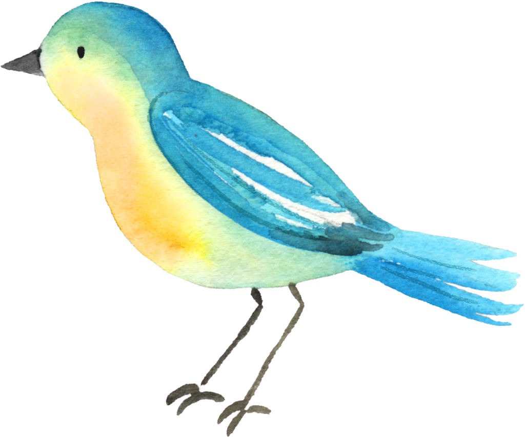 Spring Bird Clipart