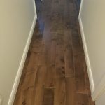 Paramount Solid Maple Hardwood