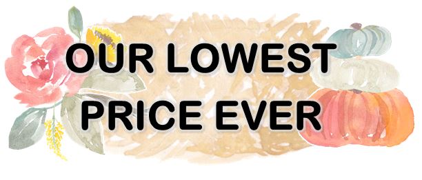 Our lowest price ever on Audacity flooring! 