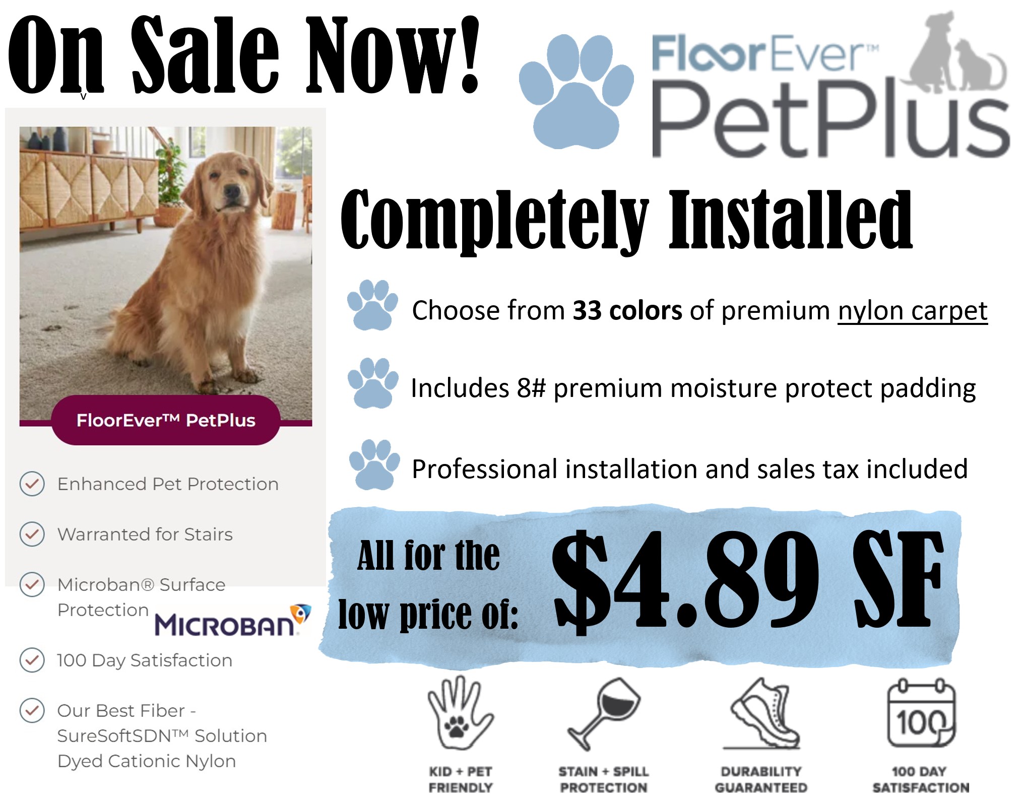 Phenix Pet Plus Nylon Carpet completely installed for $4.89 sf 