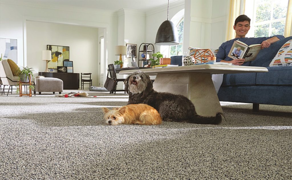 Family with dogs on cozy carpet 