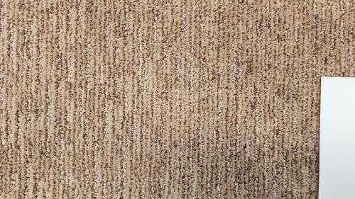 Mohawk Carpet in Sculptured Touch - Sumatra Blend (38oz EverStrand PET)