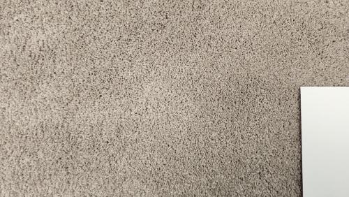 Mohawk Carpet in Opulent Allure - Silver Haze (40oz Smartstrand All-Pet Ultra *Upgraded PET moisture protect backing)