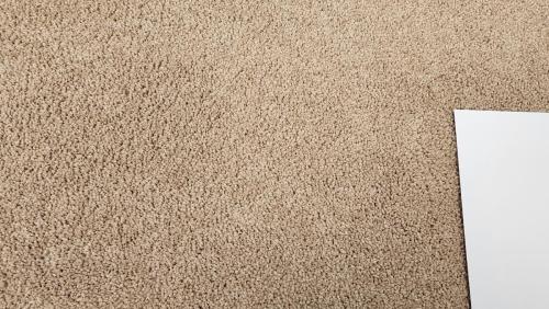 Mohawk Carpet in Bluff - Tumbleweed Tan (35oz Smartstrand All-Pet Ultra *Upgraded PET moisture protect backing)