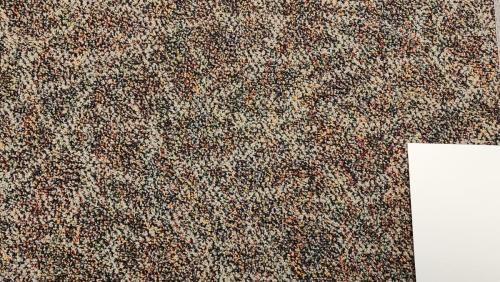 Barrett Commercial Carpet in Monaco color Poppy Seed (28oz Ultra PET)