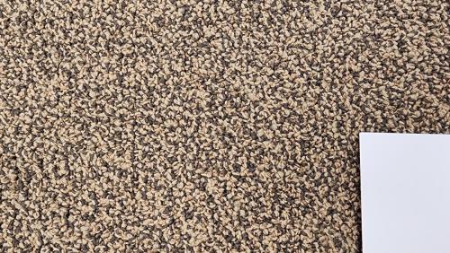 Shaw Contract Commercial Carpet - Gradient Bronze color Chestnut (30oz 100% Nylon)