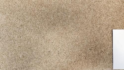 Mohawk Carpet in Springfield Estates - French Roast (47oz UltraStrand NYLON)