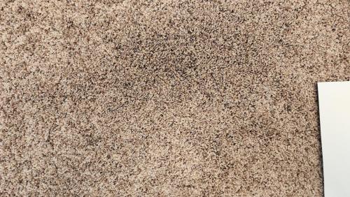 Mohawk Carpet in Naturally Soft - Cliffside (52oz Revive PET w/upgraded backing) 