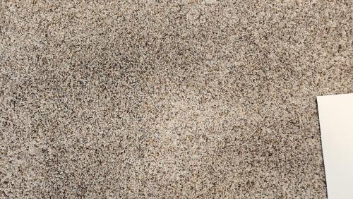 Mohawk Carpet in Naturally Soft - Vapor Hue (52oz Revive PET w/upgraded backing) 