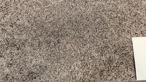 Mohawk Carpet in Naturally Soft -Truffle (52oz Revive PET w/upgraded backing)  