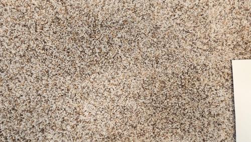 Mohawk Carpet in Savvy Approach - Ice Crystal (55oz Smartstrand Ultra w/PET & upgraded backing)